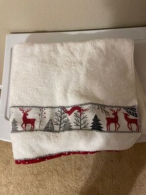 Big lots brand Christmas towels